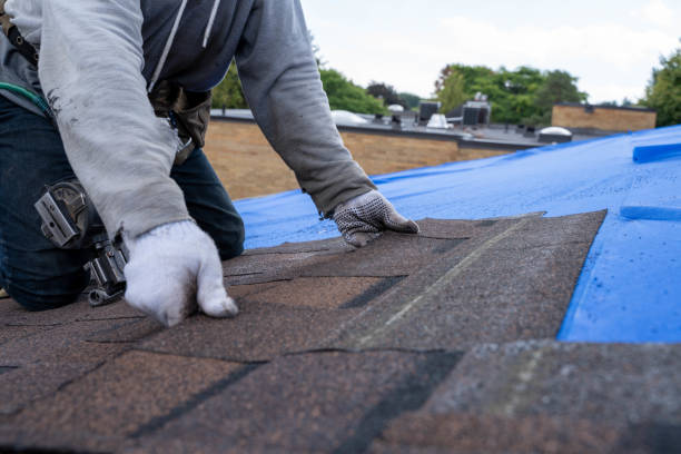 Best Commercial Roofing Services  in Wagner, SD