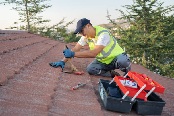 Best Emergency Roof Repair  in Wagner, SD
